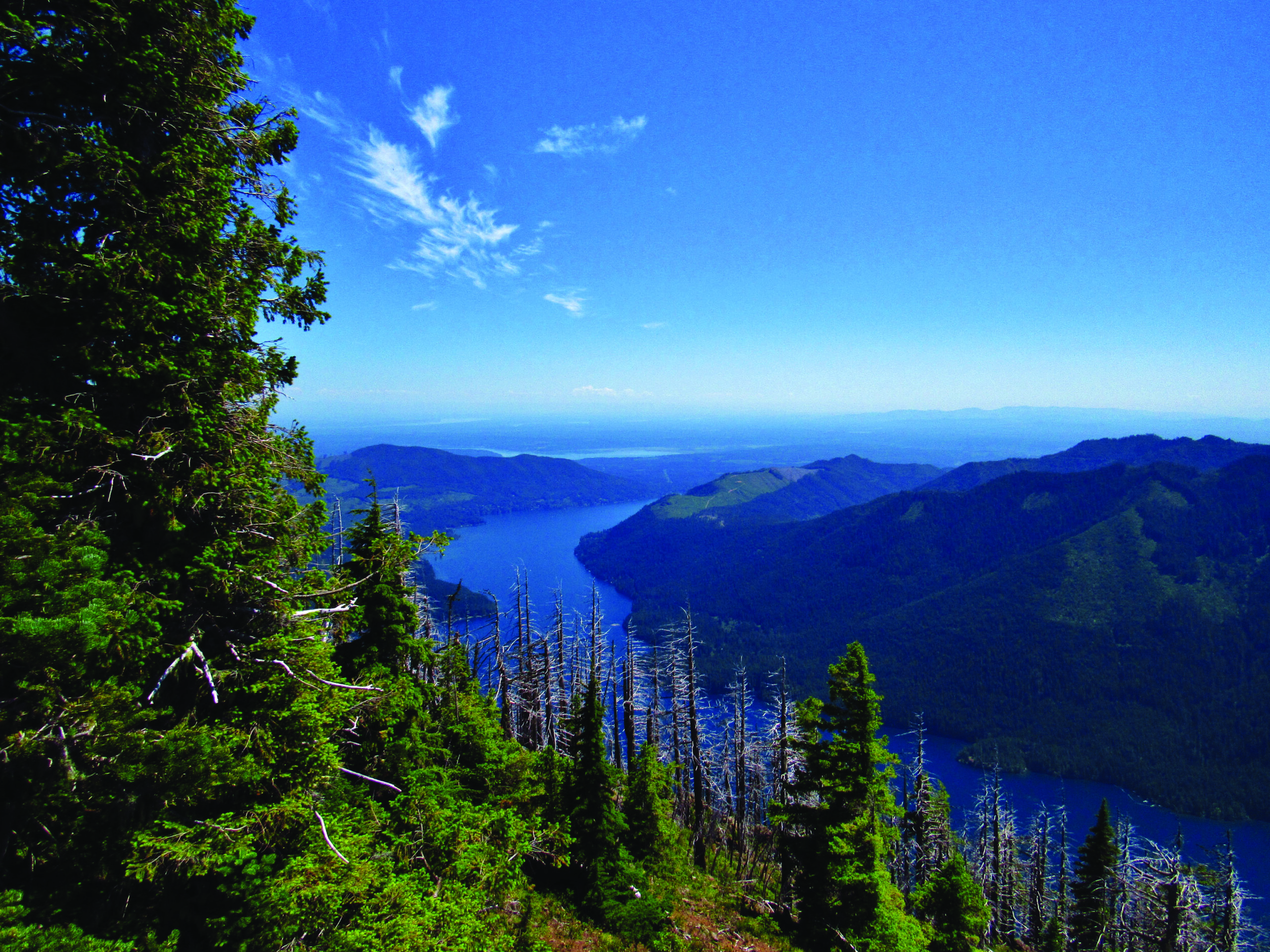 Lower Elevation Hikes Close to Tacoma suitable for May Conditions