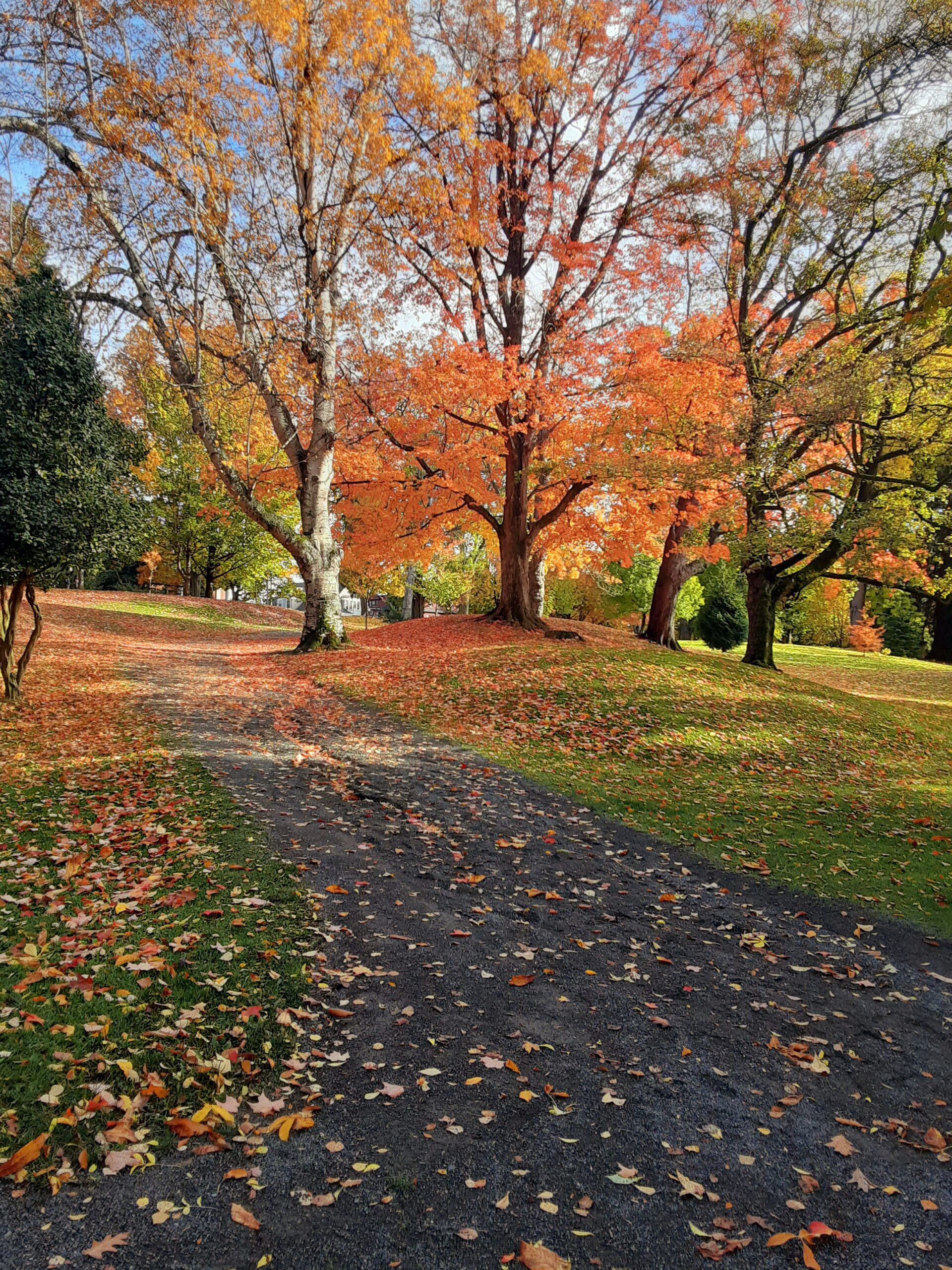 Why Tacoma Is a Great Running Town