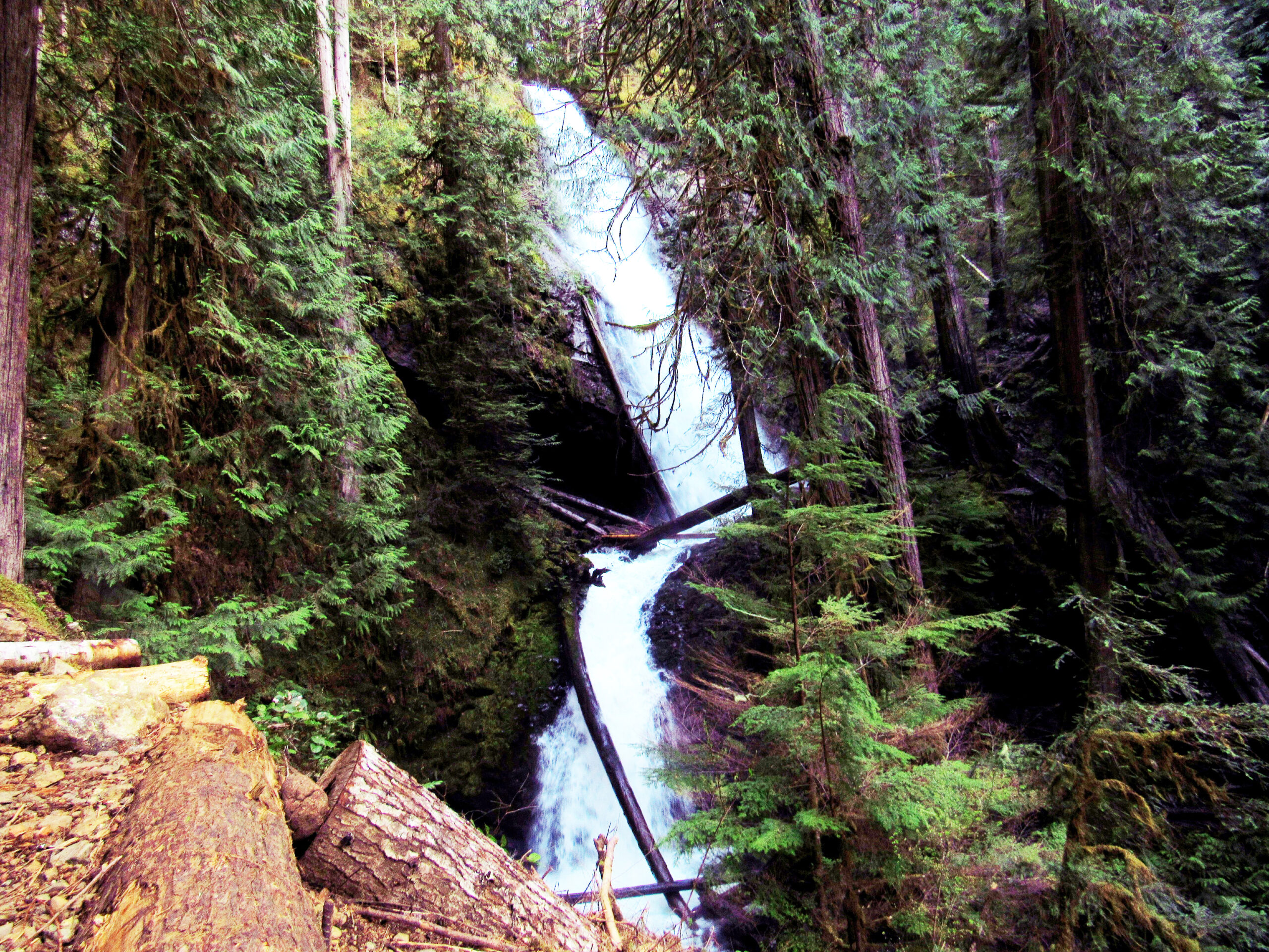 Chasing Waterfalls Across Western Washington